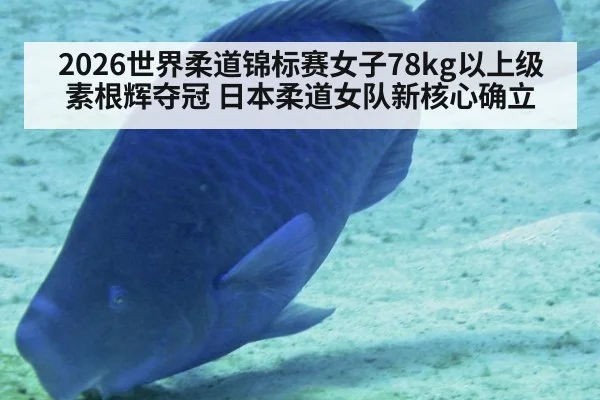 2026世界柔道锦标赛女子78kg以上级素根辉夺冠 日本柔道女队新核心确立
